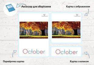 "Pory roku + miesiące" tr&oacute;jdzielne karty dydaktyczne fotografia