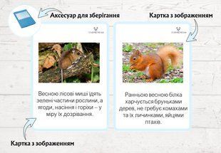 Zwierzęta wiosną &mdash; karty dydaktyczne fotografia