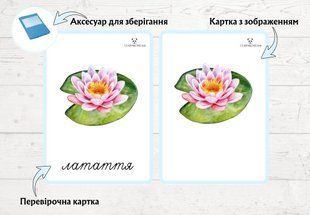 Літні квіти &mdash; дидактичні картки (2 частини)  фото