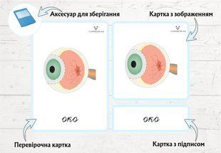 Будова ока &mdash; дидактичні картки (3 частини)  фото