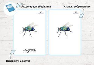 Літні комахи &mdash; дидактичні картки (2 частини)  фото