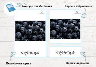Лісові ягоди &mdash; дидактичні картки (3 частини)  фото